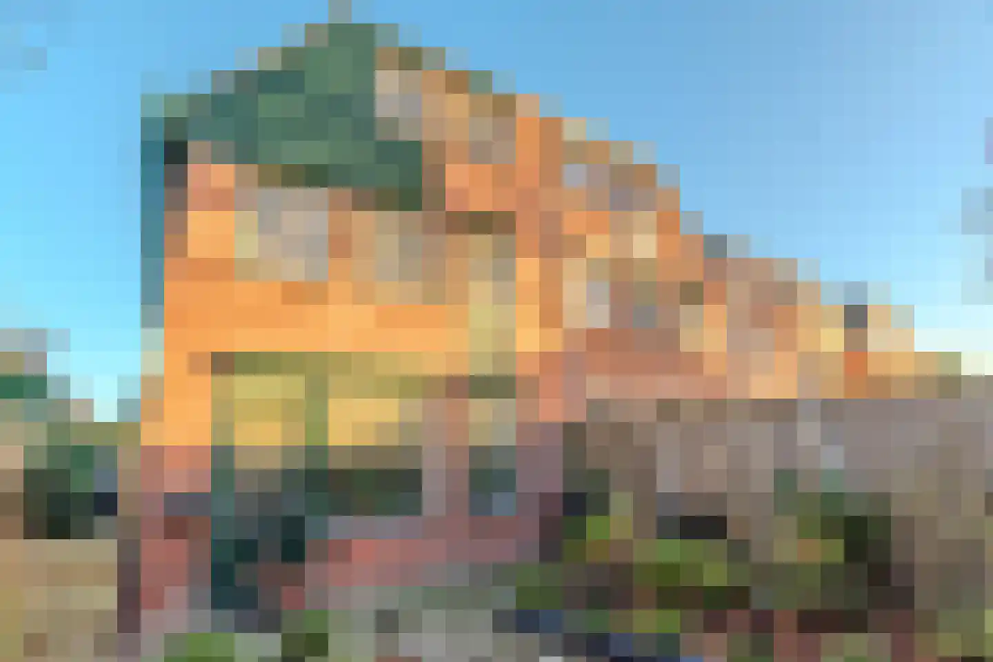 de Tulp 44 Hoogerheide thumbnail 48