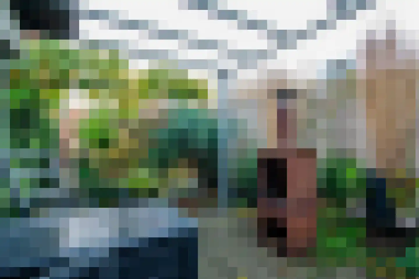 de Tulp 44 Hoogerheide thumbnail 51