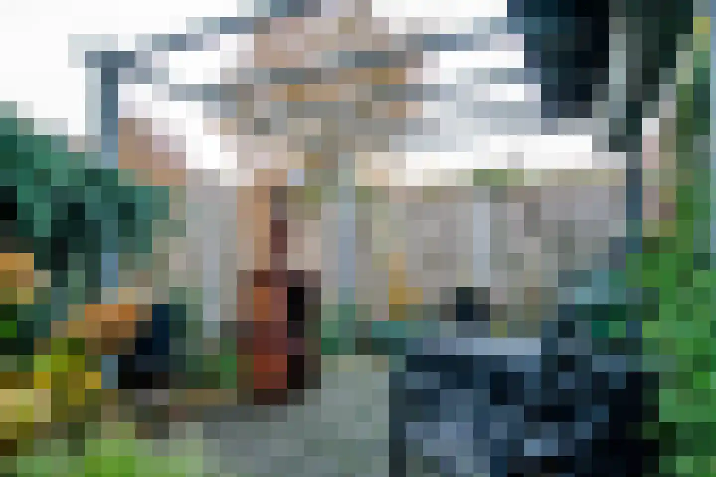 de Tulp 44 Hoogerheide thumbnail 53