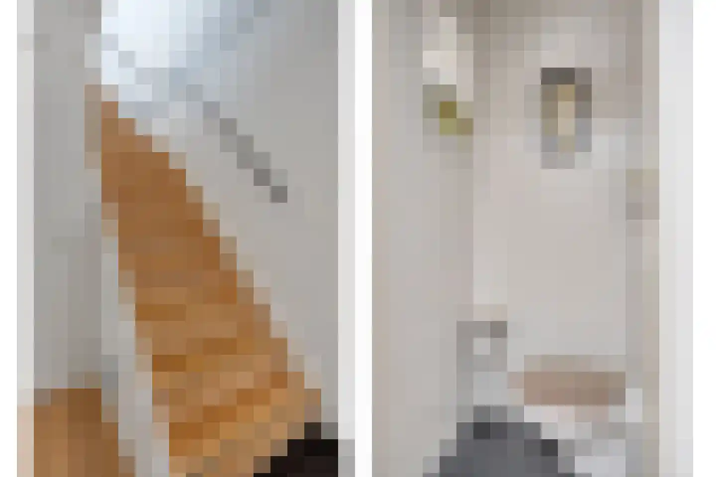 De Tulpebeam 8 Burgum thumbnail 10