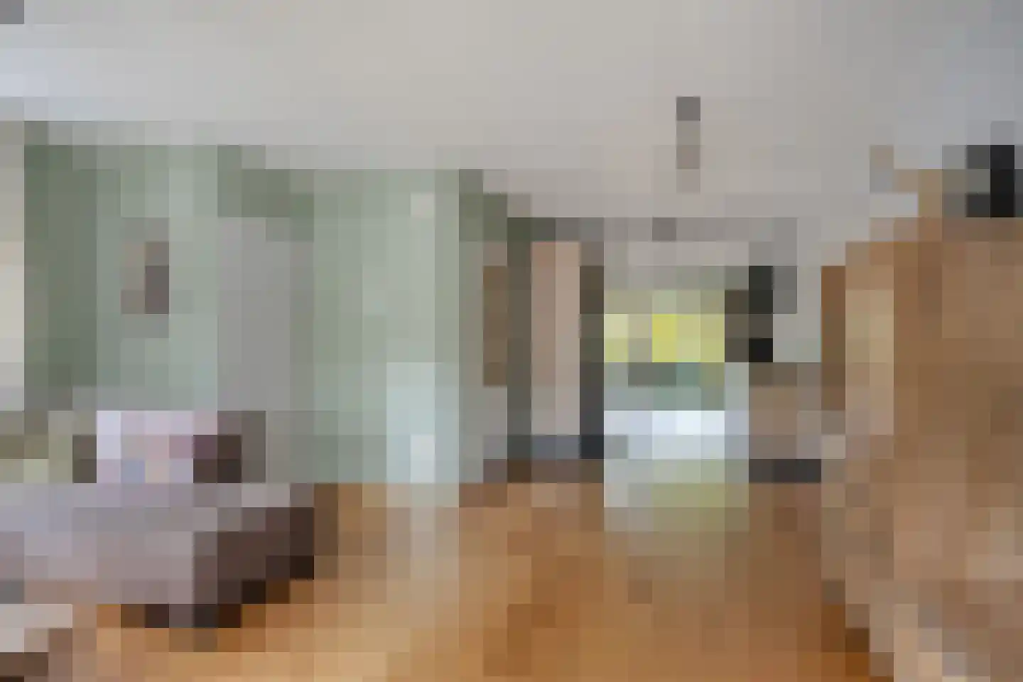 De Tulpebeam 8 Burgum thumbnail 12
