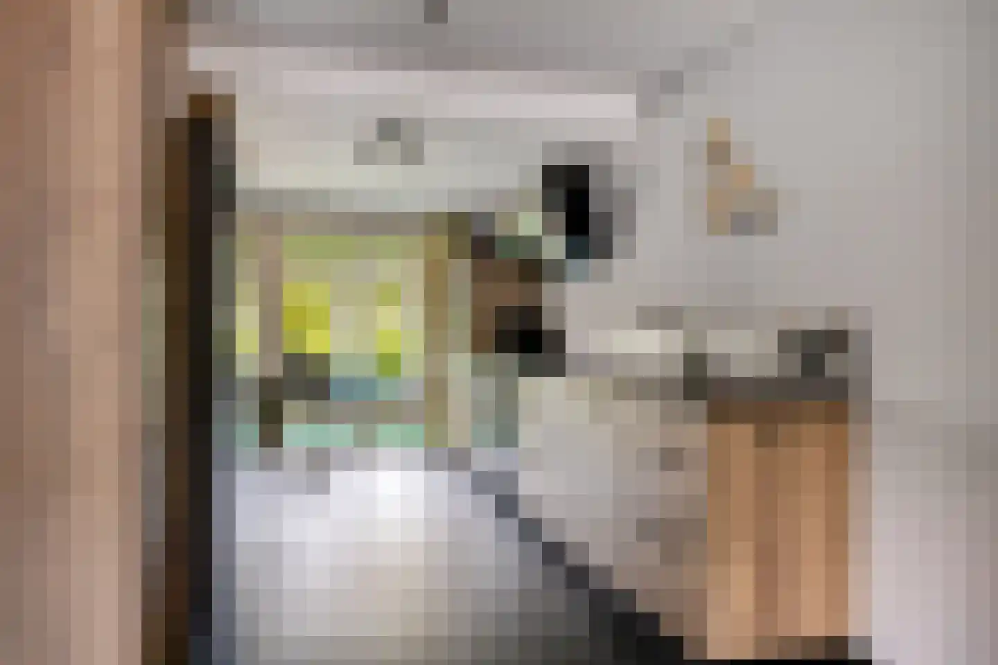 De Tulpebeam 8 Burgum thumbnail 15