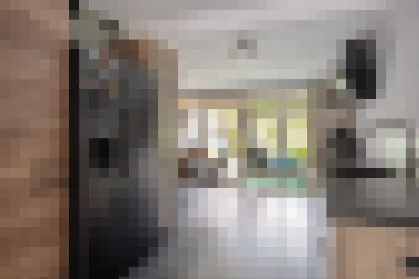 De Tulpebeam 8 Burgum thumbnail 16