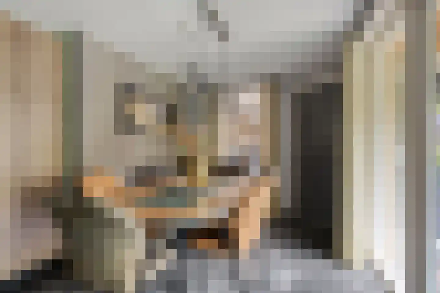 De Tulpebeam 8 Burgum thumbnail 17