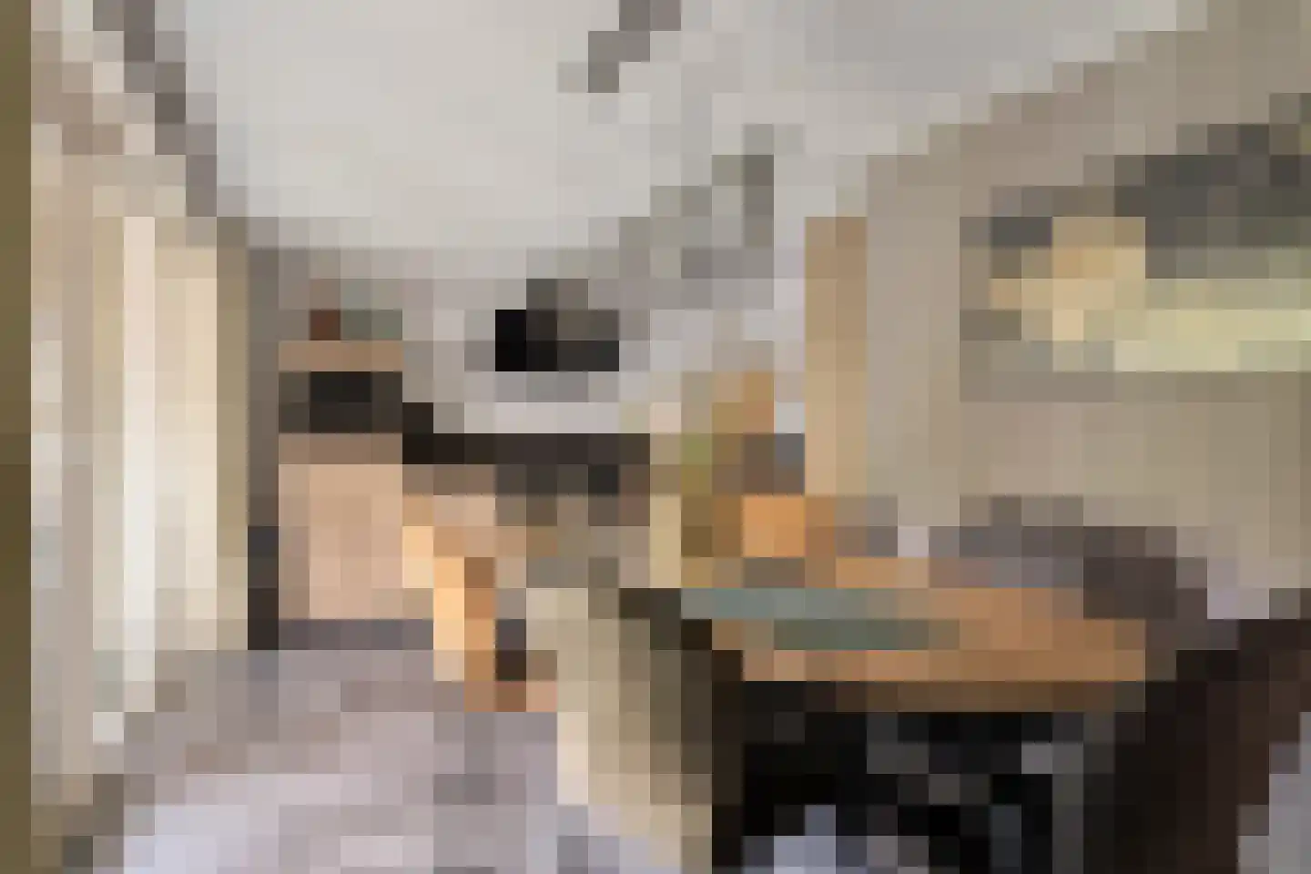 De Tulpebeam 8 Burgum thumbnail 18