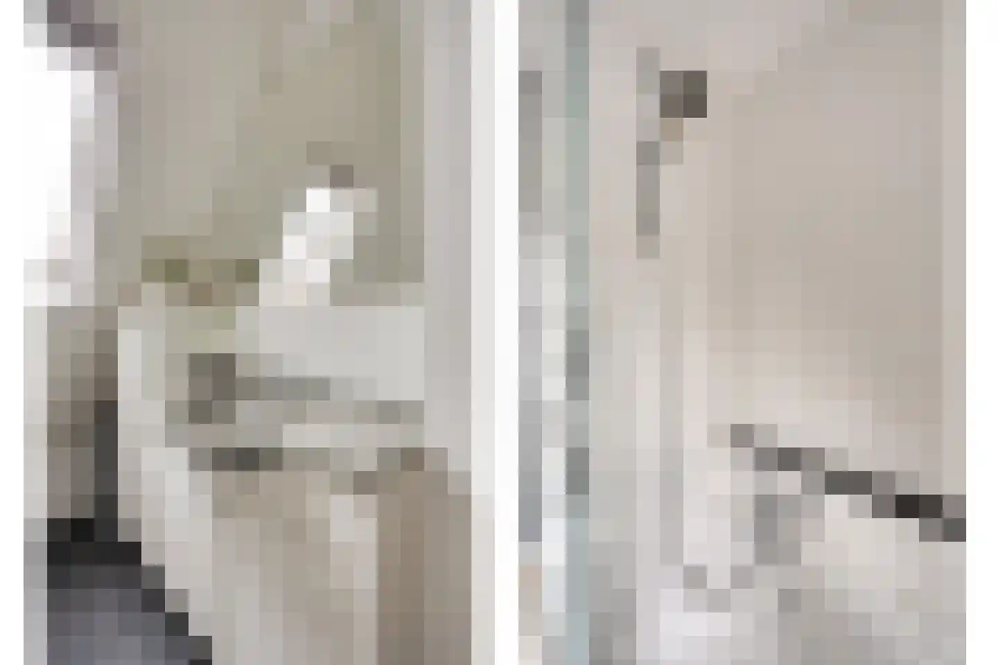 De Tulpebeam 8 Burgum thumbnail 30