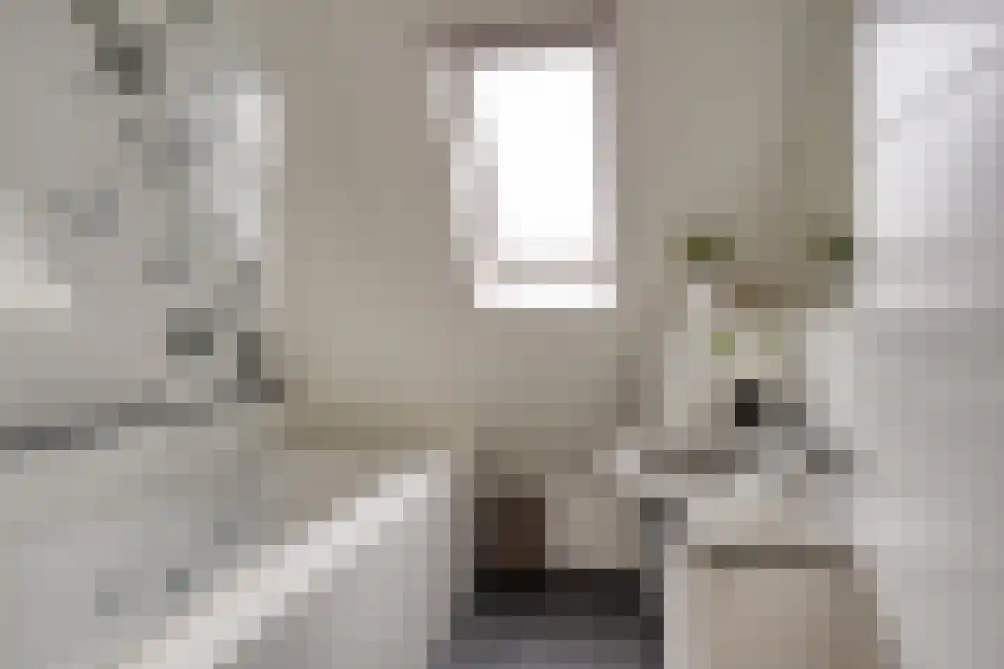 De Tulpebeam 8 Burgum thumbnail 31