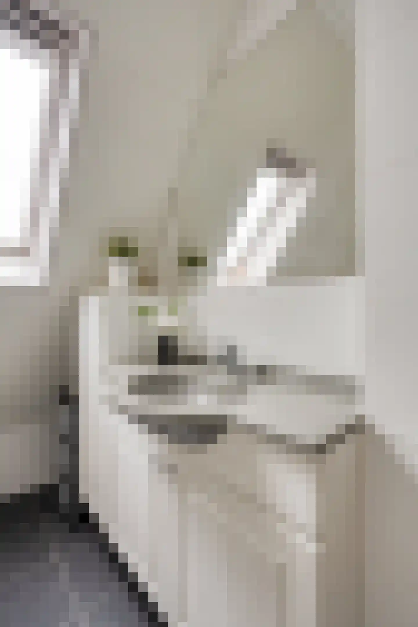 De Tulpebeam 8 Burgum thumbnail 32