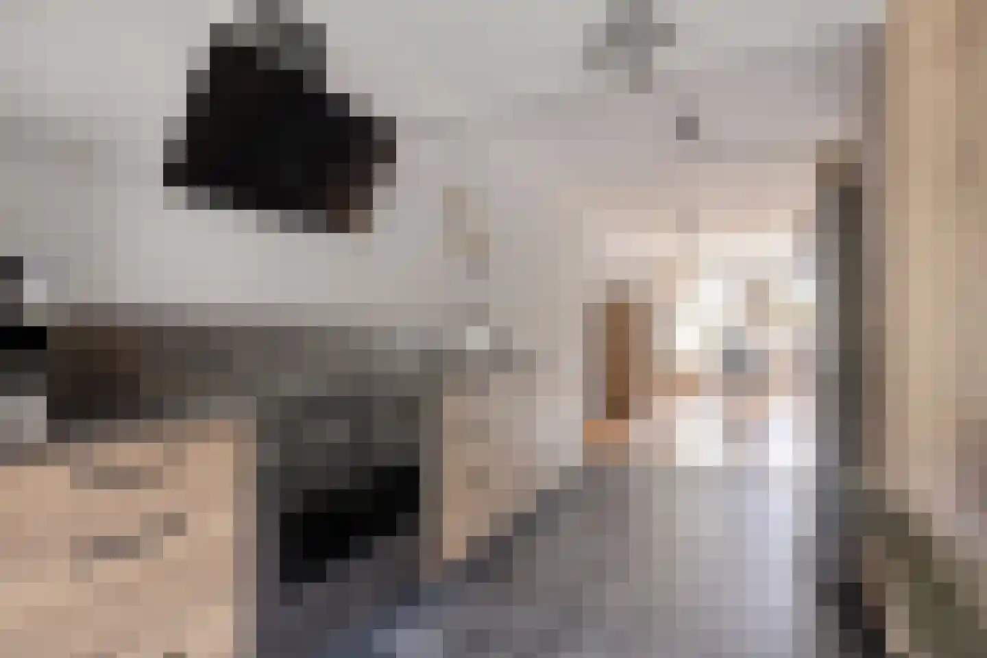 De Tulpebeam 8 Burgum thumbnail 4