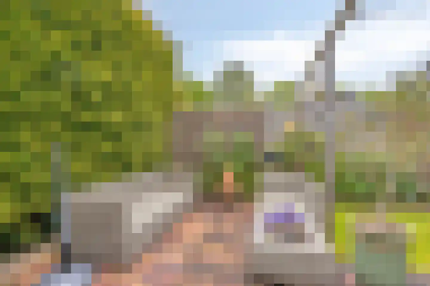 De Tulpebeam 8 Burgum thumbnail 40
