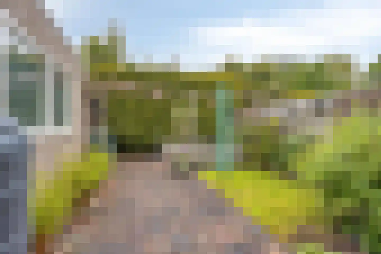 De Tulpebeam 8 Burgum thumbnail 41