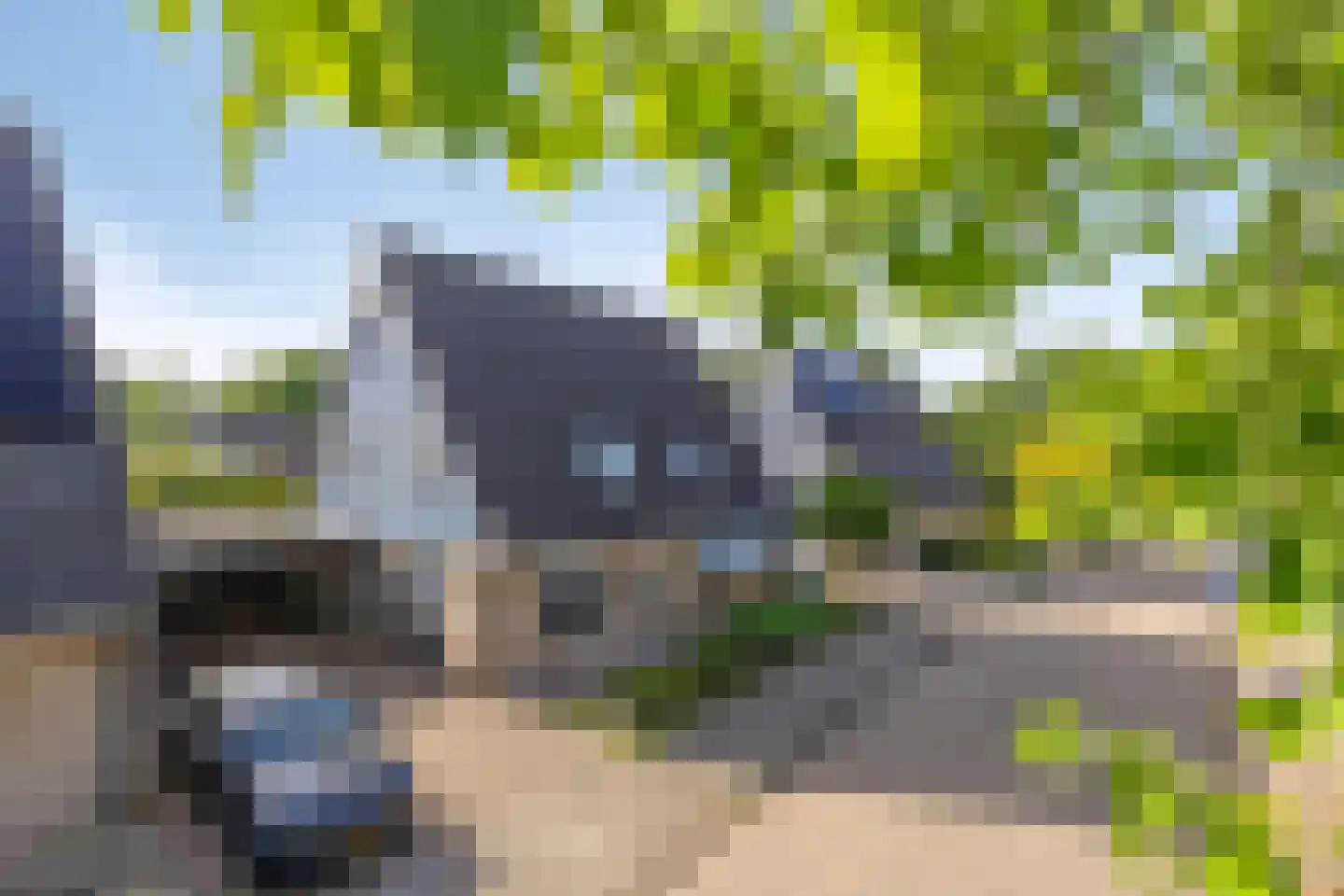 De Tulpebeam 8 Burgum thumbnail 42