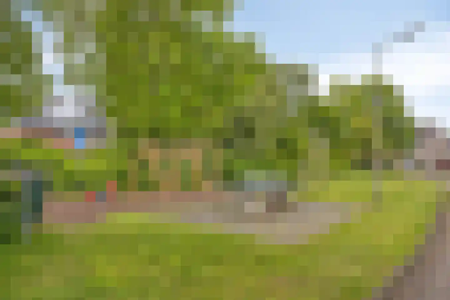 De Tulpebeam 8 Burgum thumbnail 44