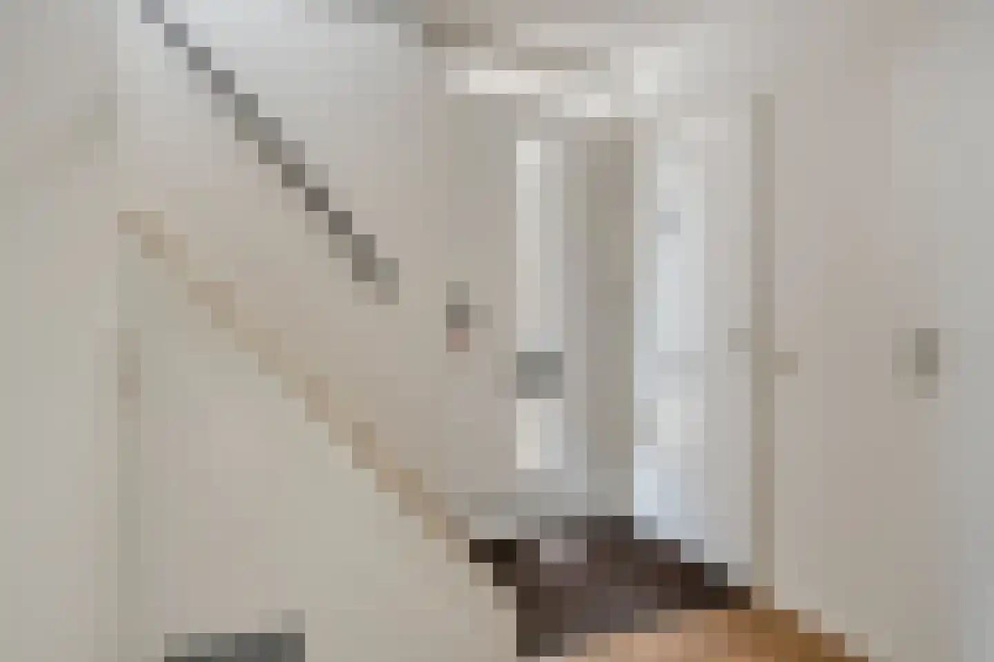 De Tulpebeam 8 Burgum thumbnail 9
