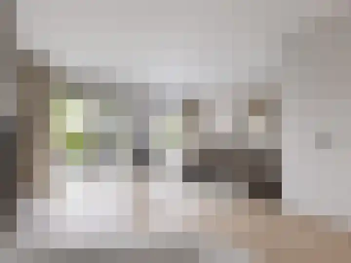 De Tunen 1 Ryptsjerk foto 3