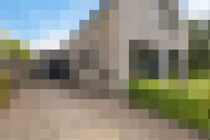 De Tunen 13 Ryptsjerk thumbnail 12