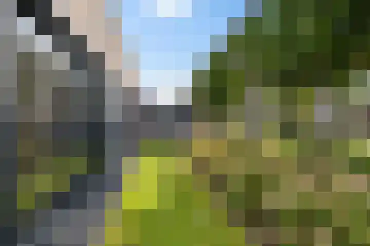 De Tunen 13 Ryptsjerk thumbnail 14