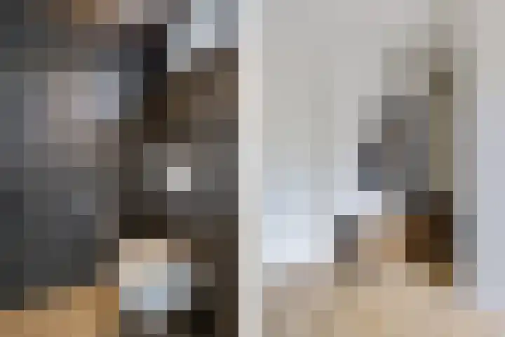 De Tunen 13 Ryptsjerk thumbnail 16