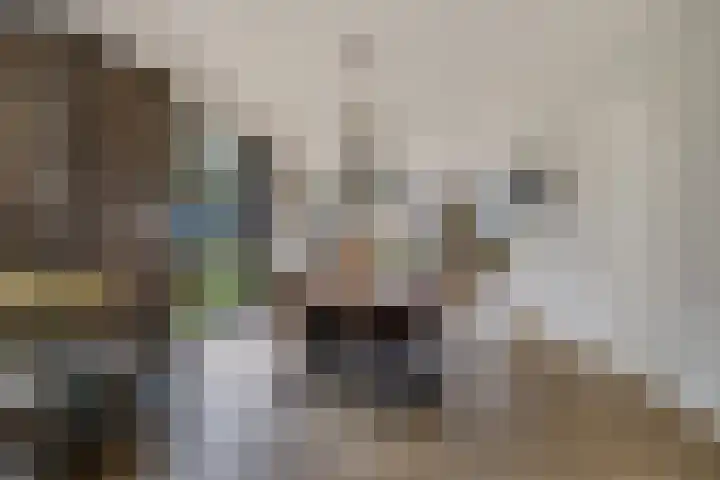 De Tunen 13 Ryptsjerk thumbnail 19