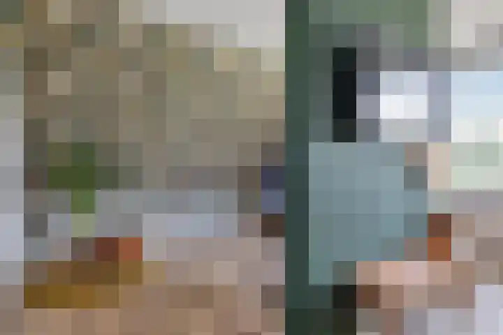 De Tunen 13 Ryptsjerk thumbnail 38