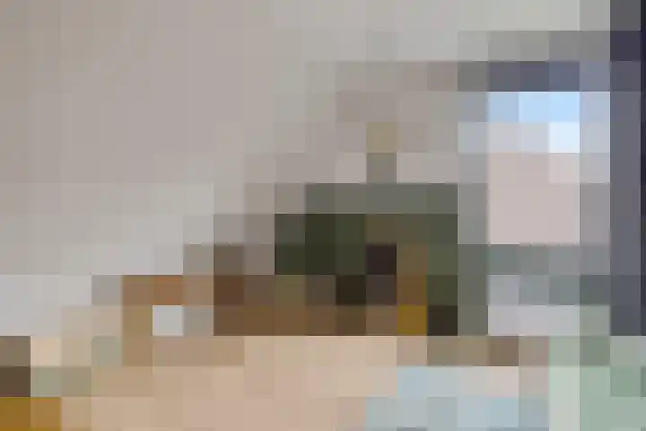 De Tunen 13 Ryptsjerk thumbnail 41