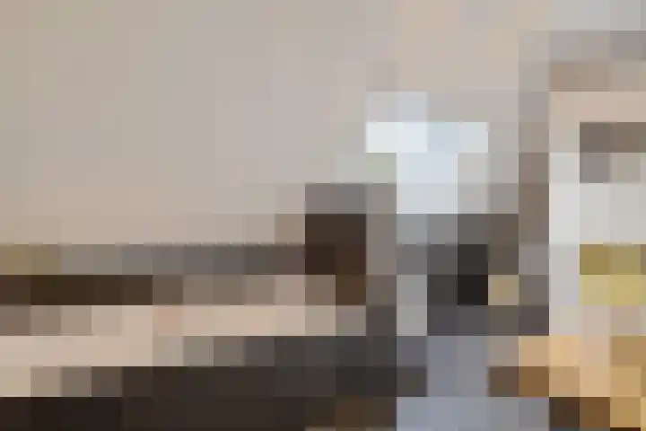 De Tunen 13 Ryptsjerk thumbnail 45