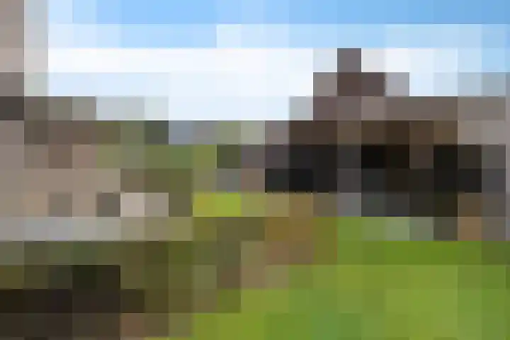 De Tunen 13 Ryptsjerk thumbnail 48