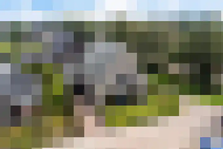 De Tunen 13 Ryptsjerk thumbnail 5