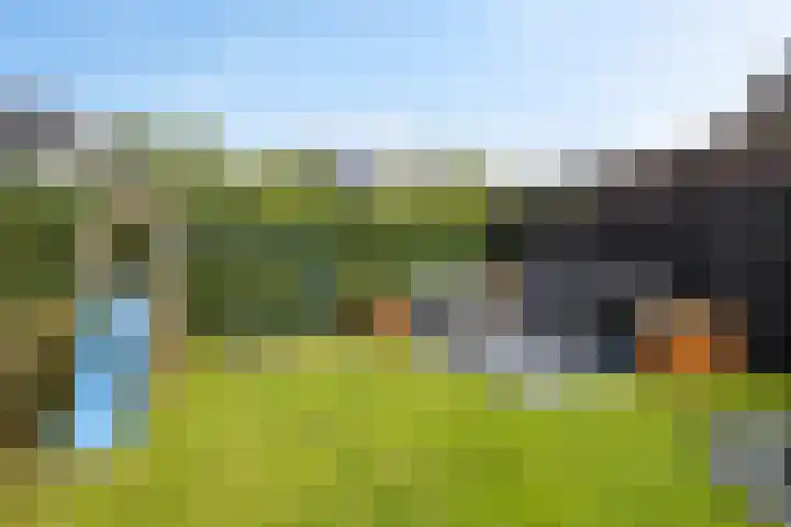 De Tunen 13 Ryptsjerk thumbnail 50