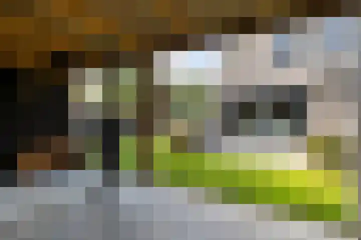 De Tunen 13 Ryptsjerk thumbnail 52