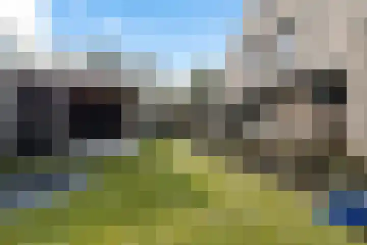 De Tunen 13 Ryptsjerk thumbnail 55