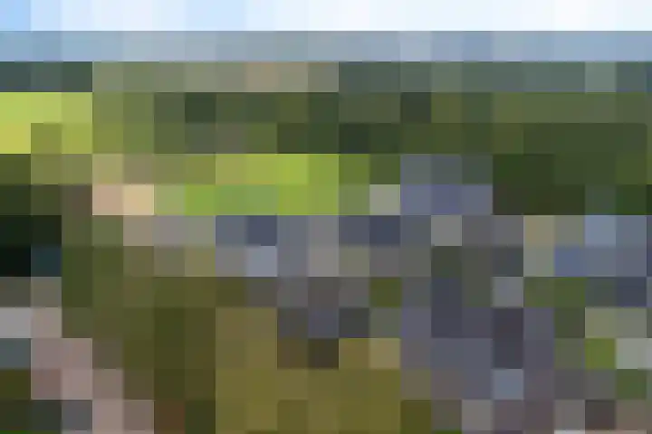 De Tunen 13 Ryptsjerk thumbnail 59