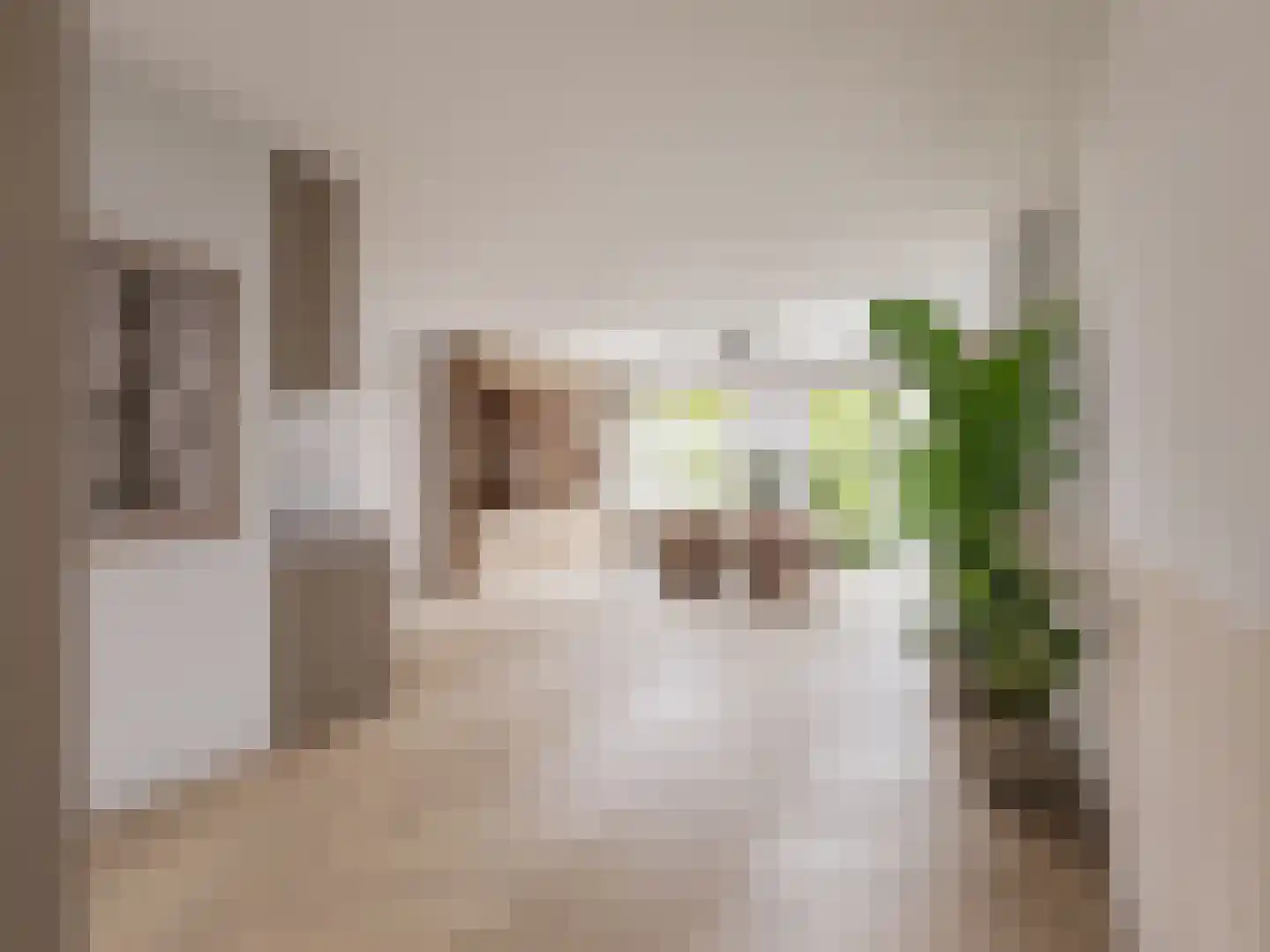 De Tunen 3 Ryptsjerk thumbnail 4