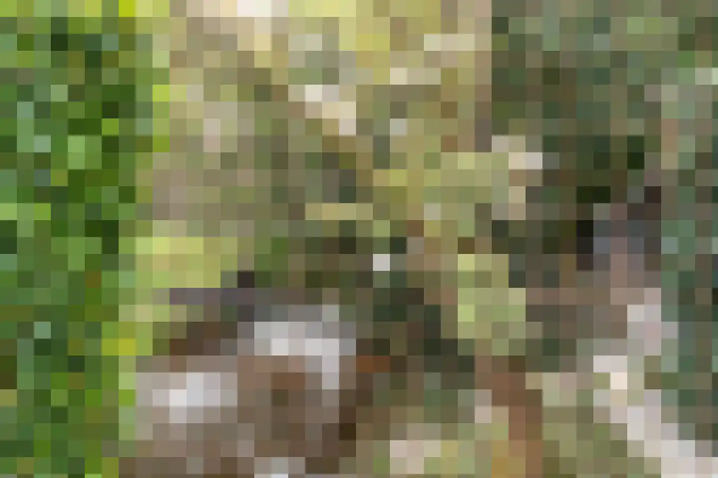 De Tunen 4 Joure thumbnail 10