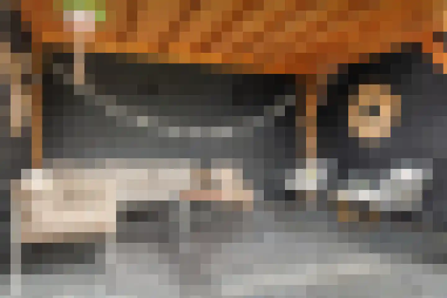 De Tunen 4 Joure thumbnail 11
