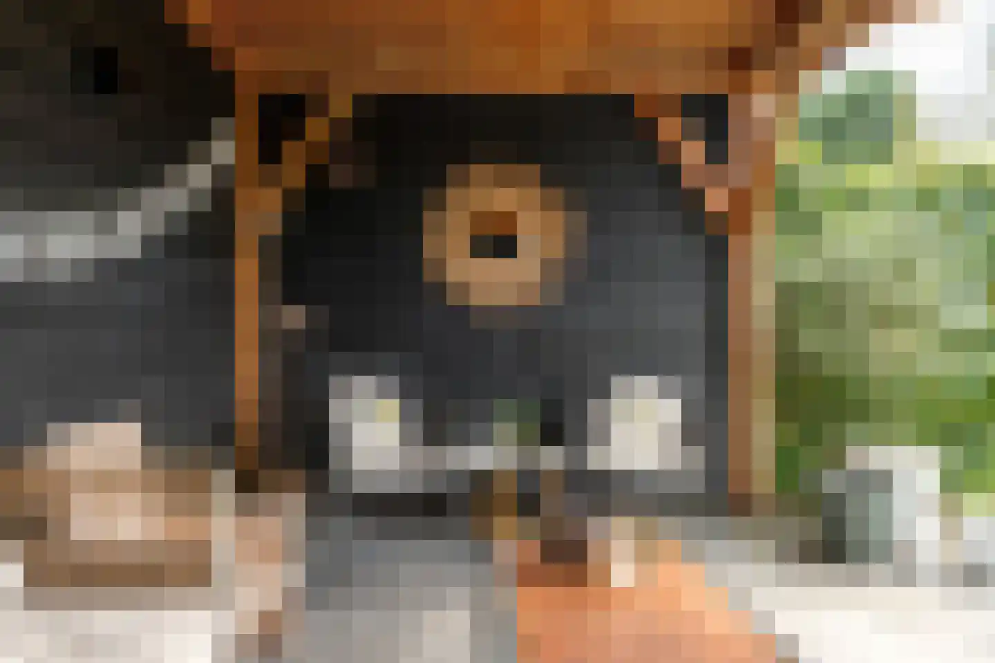 De Tunen 4 Joure thumbnail 12
