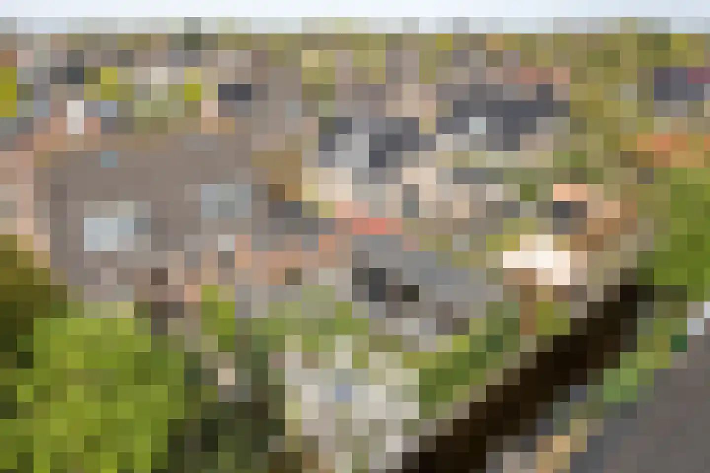 De Tunen 4 Joure thumbnail 14