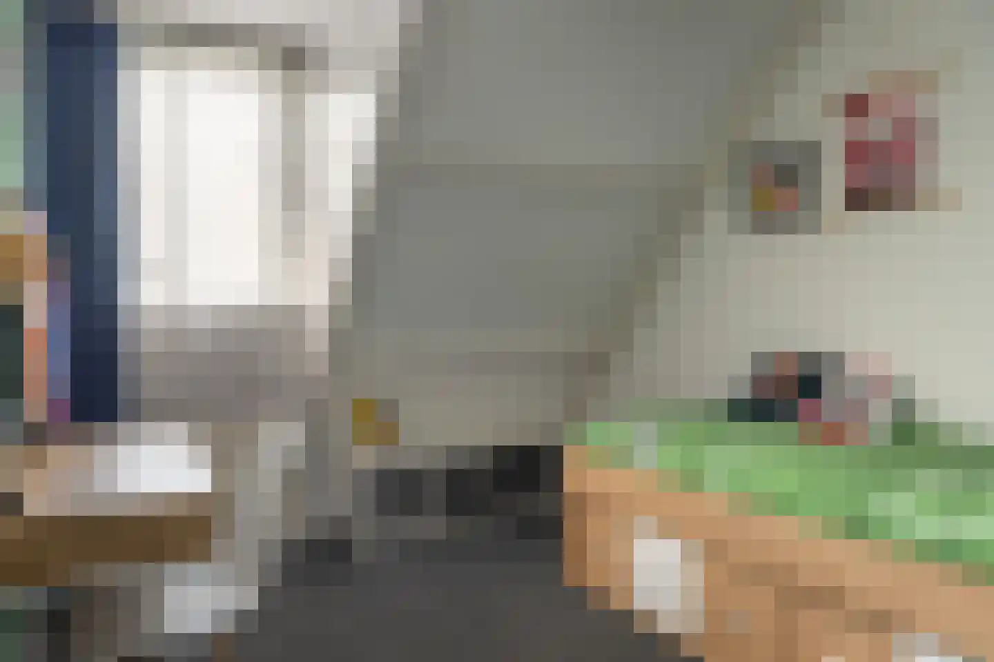 De Tunen 4 Joure thumbnail 32