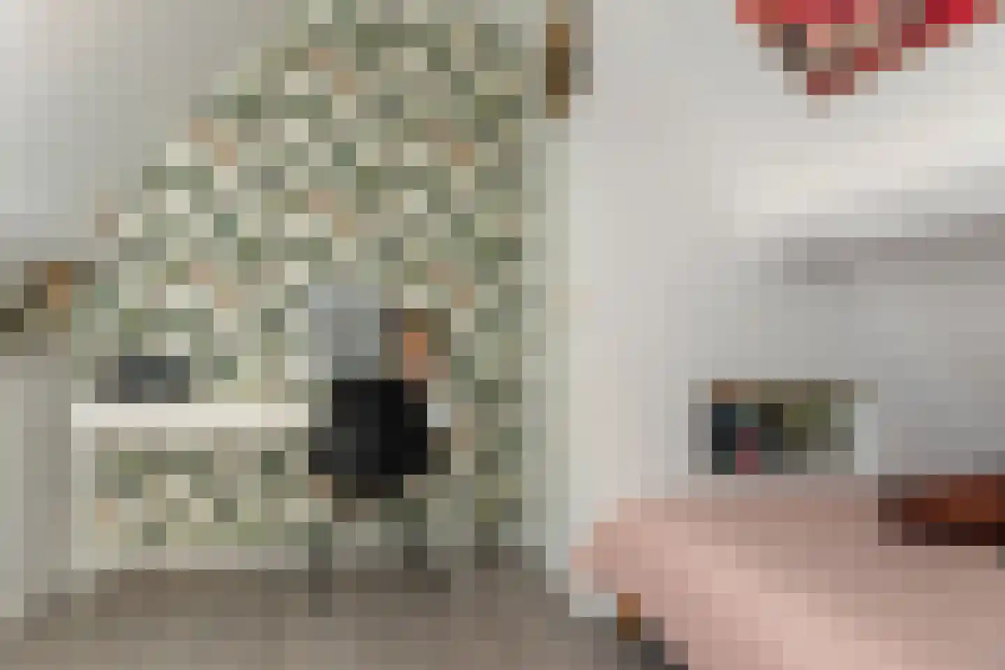 De Tunen 4 Joure thumbnail 39