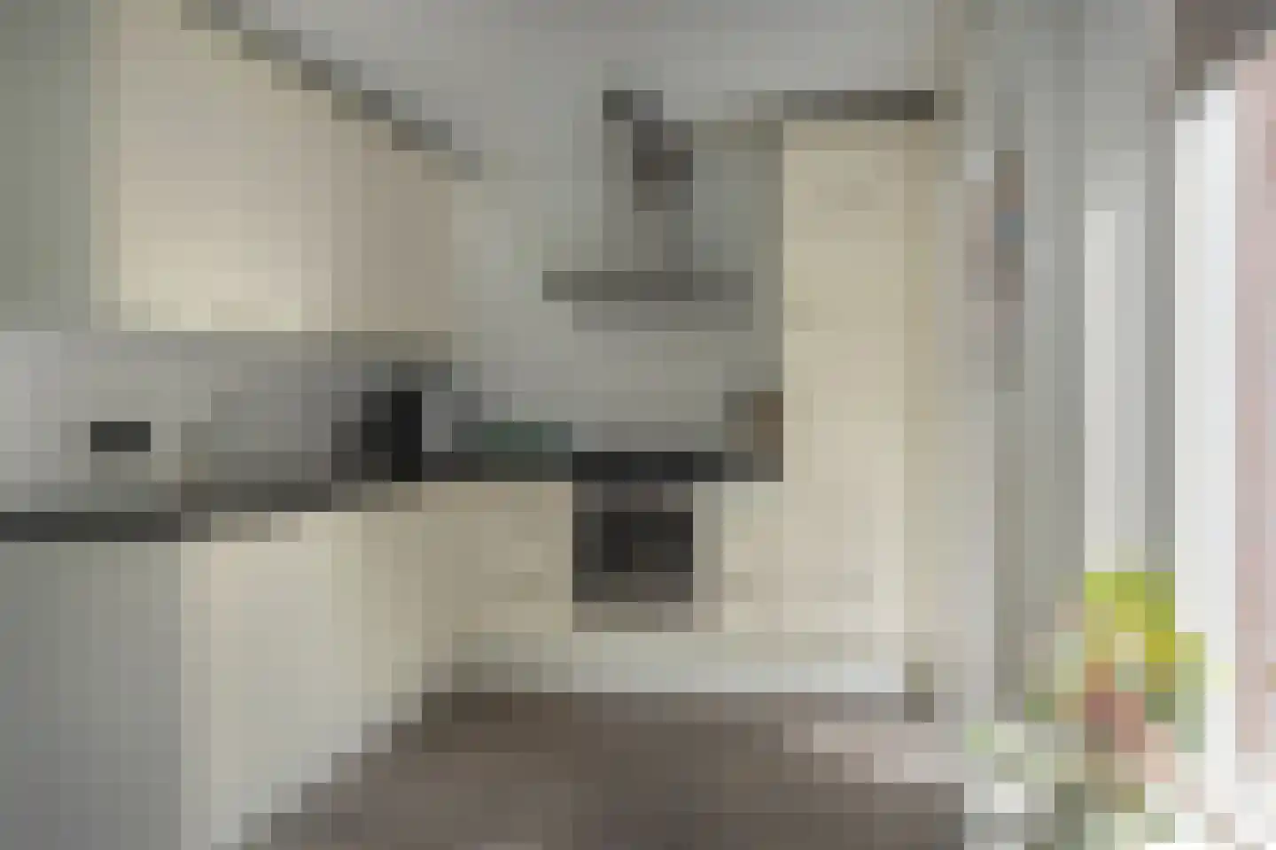 De Tunen 4 Joure thumbnail 4