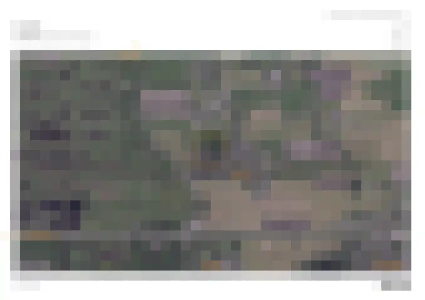 De Tunen 5 Ryptsjerk thumbnail 12