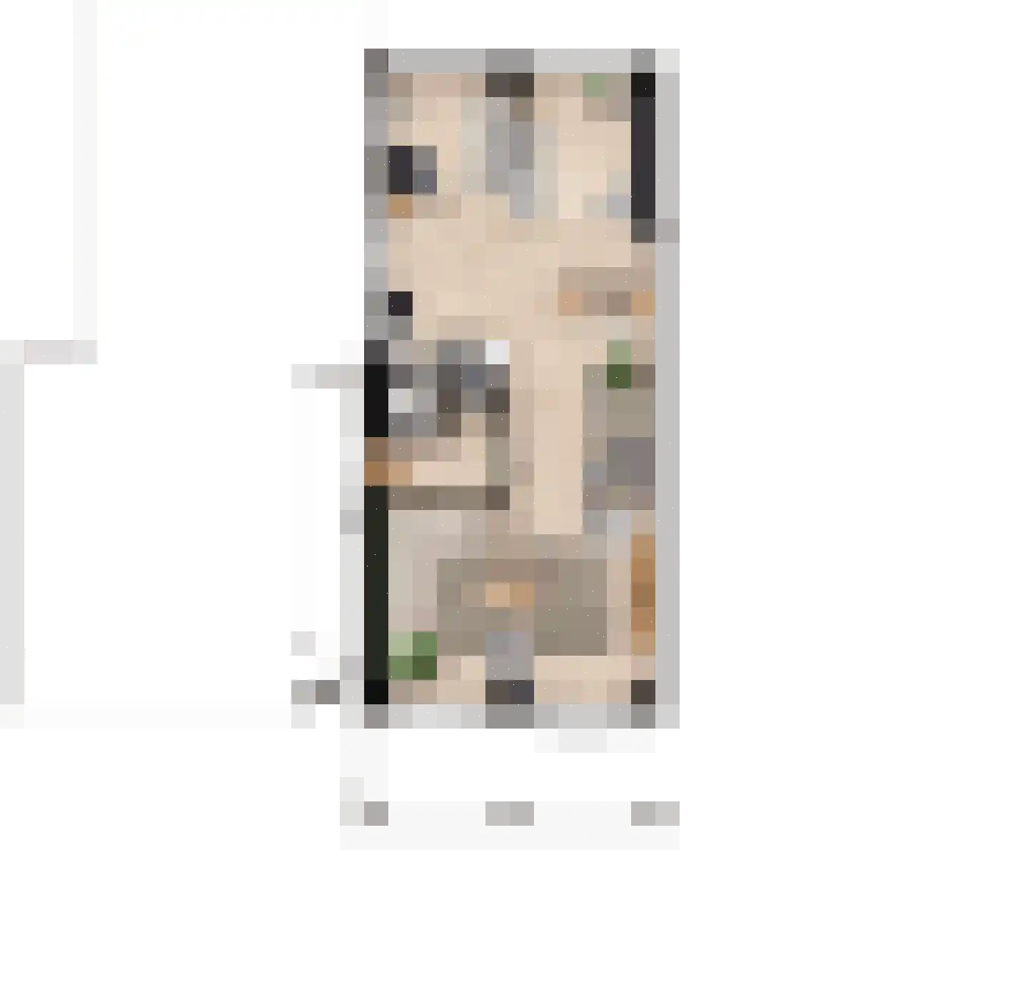 De Tunen 5 Ryptsjerk thumbnail 7