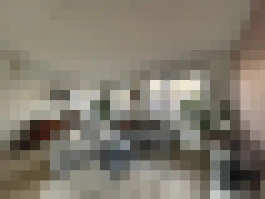 De Tureluur 25 Wierden thumbnail 4
