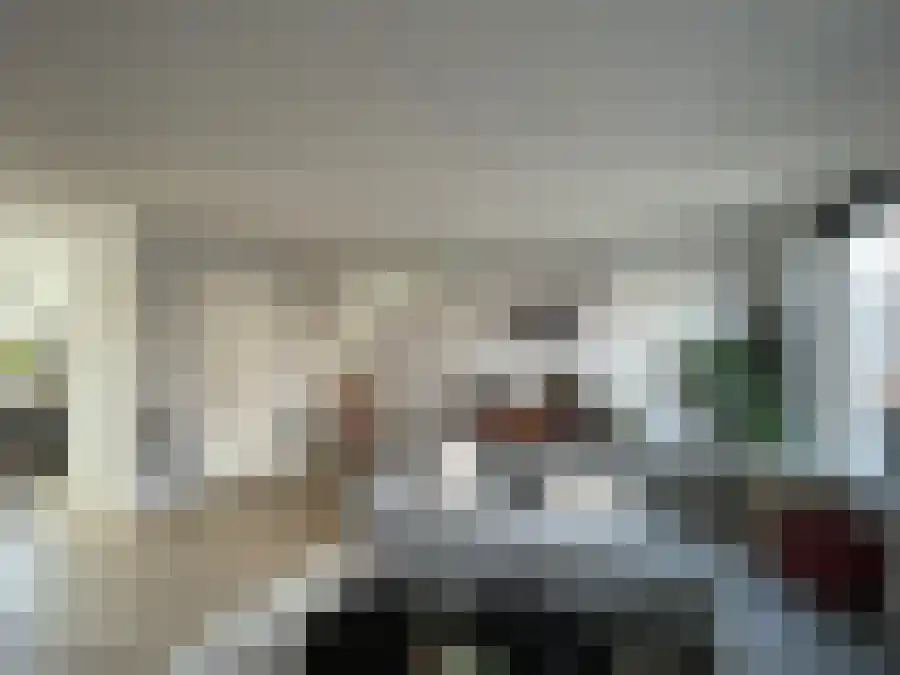 De Tureluur 25 Wierden thumbnail 5