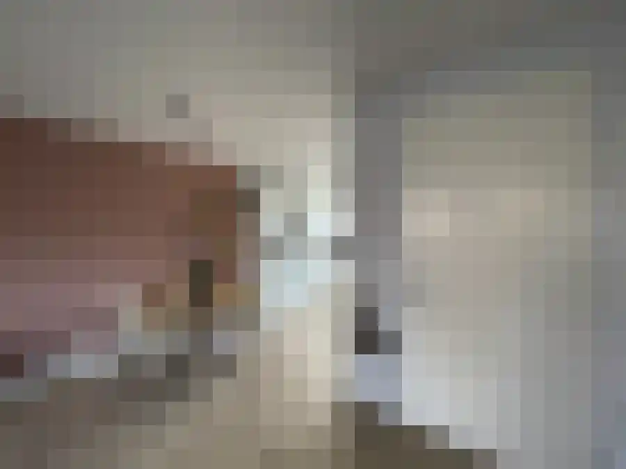De Tureluur 25 Wierden thumbnail 6