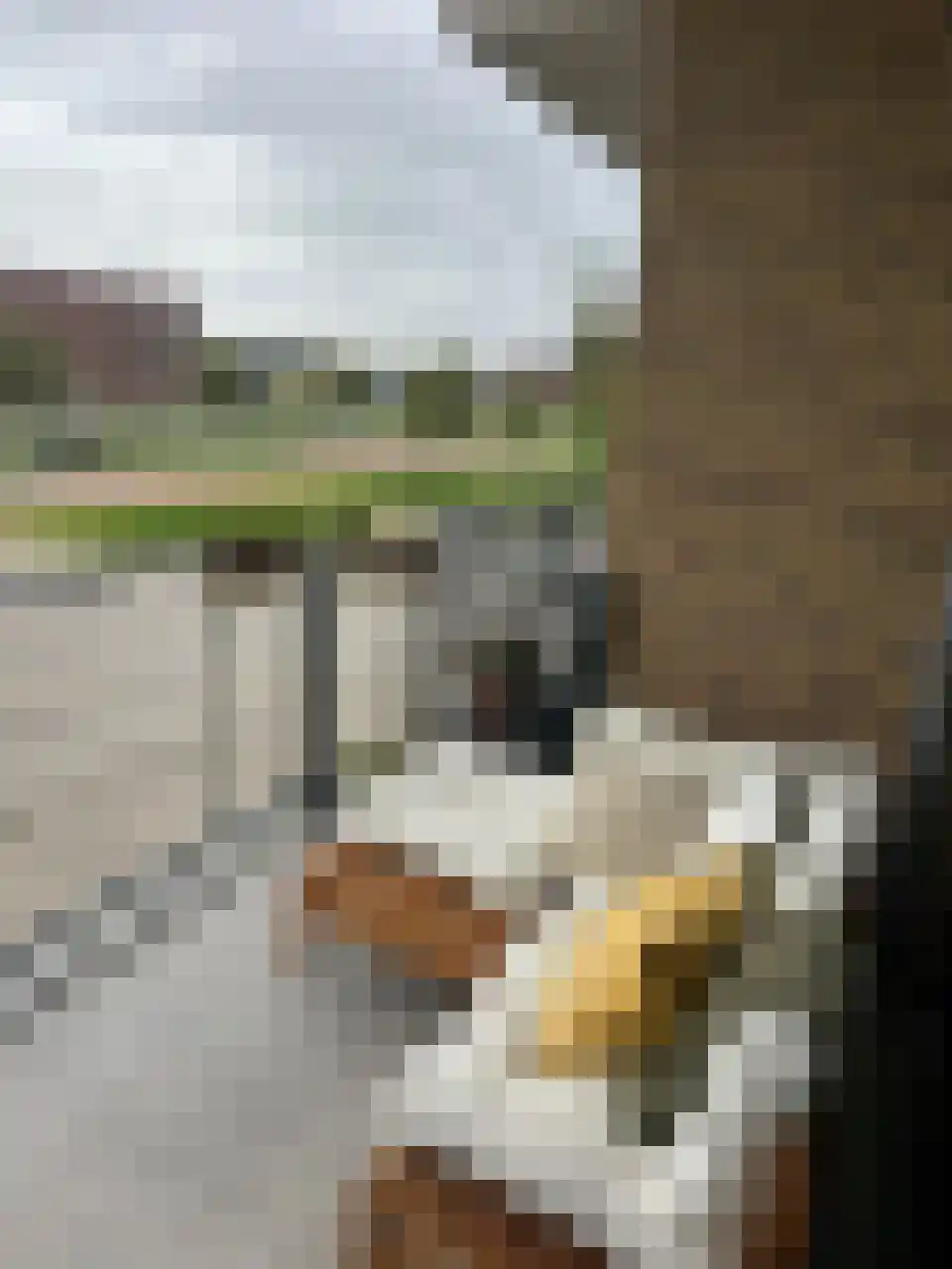 De Tureluur 40 Dronten thumbnail 4