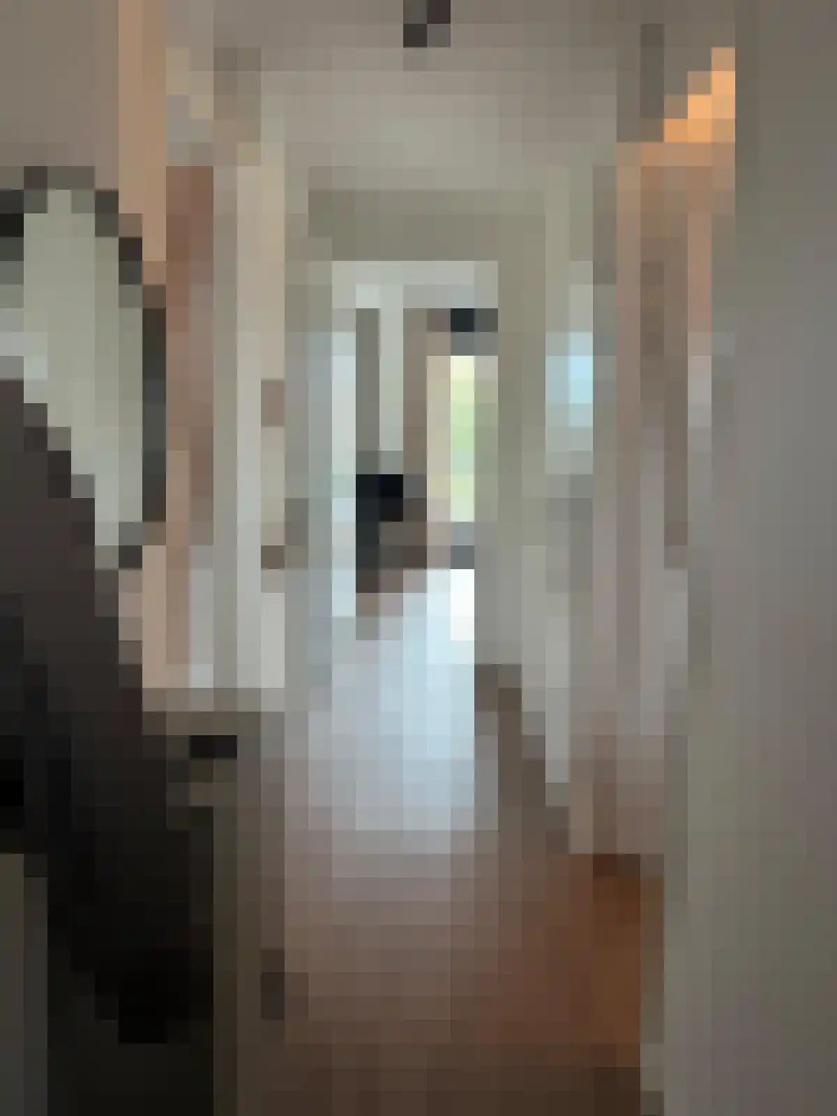 De Tureluur 40 Dronten thumbnail 5