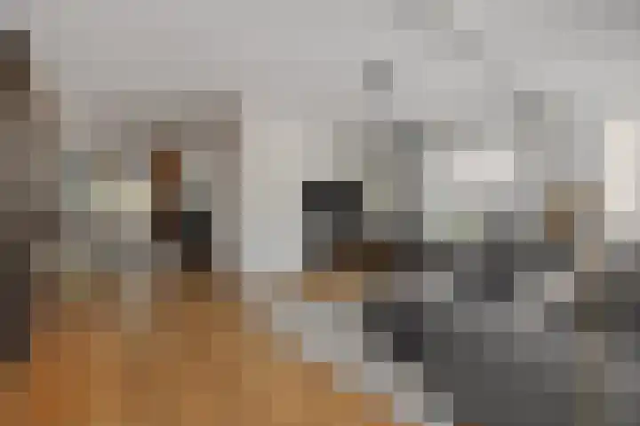 De Turfkamp 10 Berlicum thumbnail 10