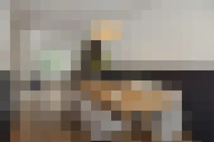 De Turfkamp 10 Berlicum thumbnail 12