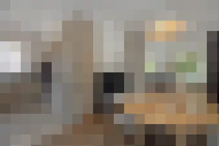 De Turfkamp 10 Berlicum thumbnail 13